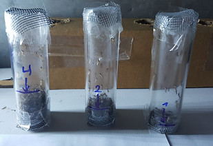 tubes height.jpg