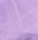 Lilac.jpeg
