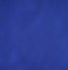 RoyalBlue.jpeg