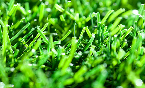 1040_tile_about_turf.jpg