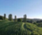 E0E9997C-DD38-40B6-8C16-2C69F3C1CD76.jpeg