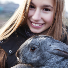 Cat & Rabbit Clinic's nursing team lists items in rabbit first aid kit