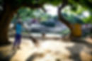 20200817_PADMA _00078.jpg