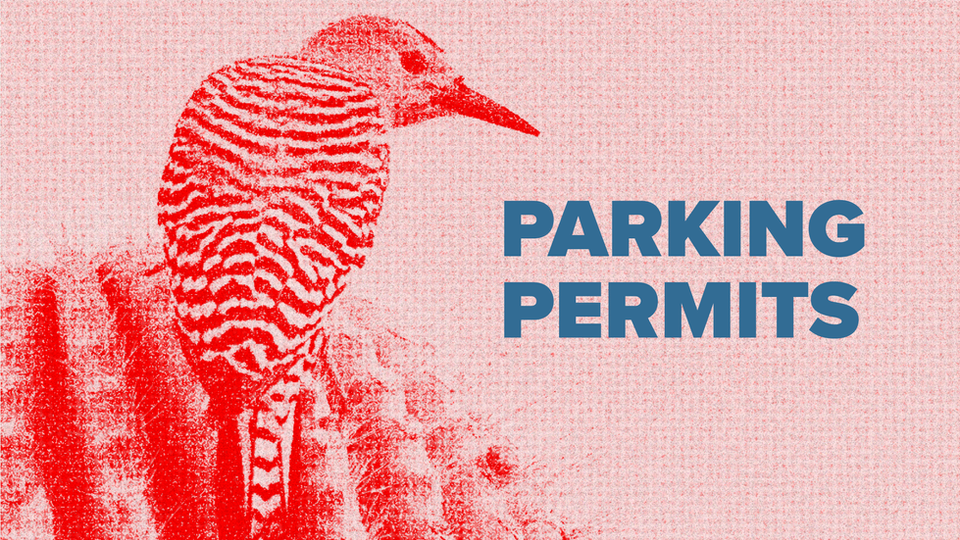 Parking Permits
