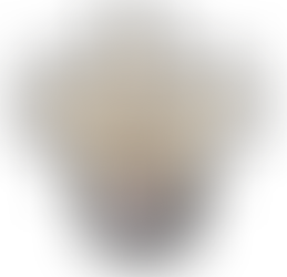 SIGNIFICATION DU GRIS