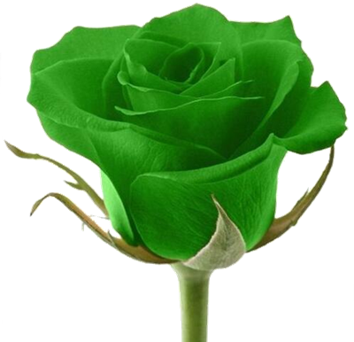 SIGNIFICATION DU VERT