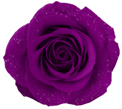 SIGNIFICATION DU VIOLET