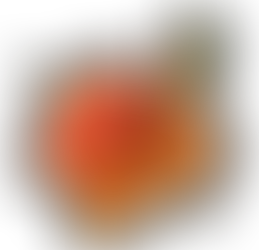 SIGNIFICATION DE L'ORANGE
