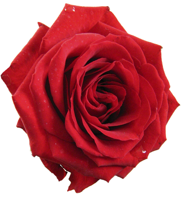 SIGNIFICATION DU ROUGE