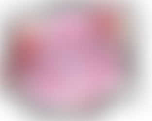 SIGNIFICATION DU ROSE