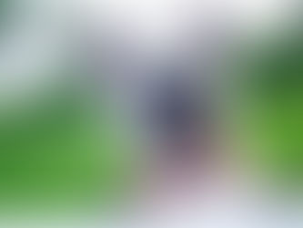 Le point de vue d'un juge international