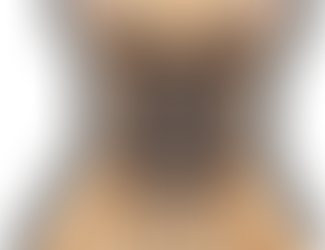 NOS FIDELES COMPAGNONS NOUS PARLENT 