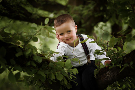 Junge sitzt in einem Baum