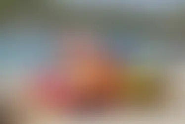 Morrisons has launched Morrisons Travel, a new way to book holidays while earning More Points. Find out if it offers good value, how the rewards work and whether cashback sites still beat it for savings.