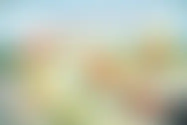 Franchise market research helps investors understand demand, competition and local demographics before opening a business. Here’s why it matters.