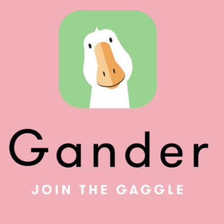 Gander - The Yellow Sticker App!
