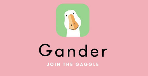 Gander - The Yellow Sticker App!