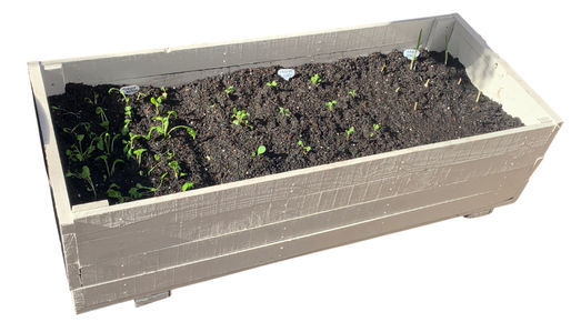 Homemade, Pallet Vegetable Planter Project