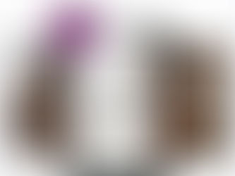 New Free Guide: 5 Holistic Practices for a Connected Pregnancy