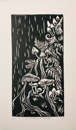 Mushrooms in the Rain