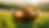 ecb48c15-66a5-4741-8a88-8b5b83526bbd.png