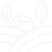 field (2).png