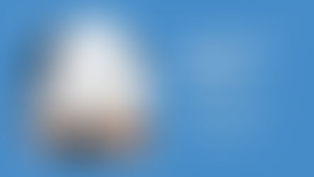 PENGUINGO LIMITED | Enquiry@penguingo.io