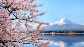 China King Century International Group Ltd | goldentop12@hotmail.com.hk