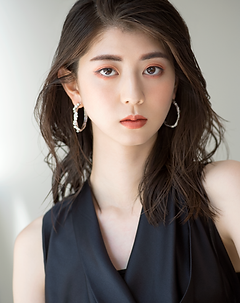 モデル④.png