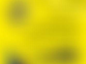 Fang die Sonne am Wiler Solarcup ein