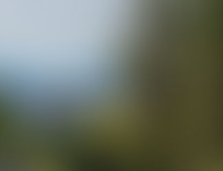 Klimamonitoring der Stadt Wil zeigt Fortschritte und Lücken