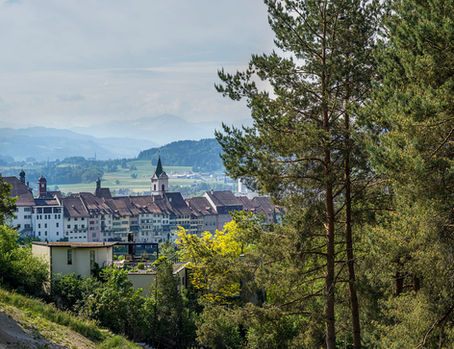 Klimamonitoring der Stadt Wil zeigt Fortschritte und Lücken