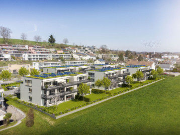 Baureportage Überbauung «Rietwies» in Müllheim