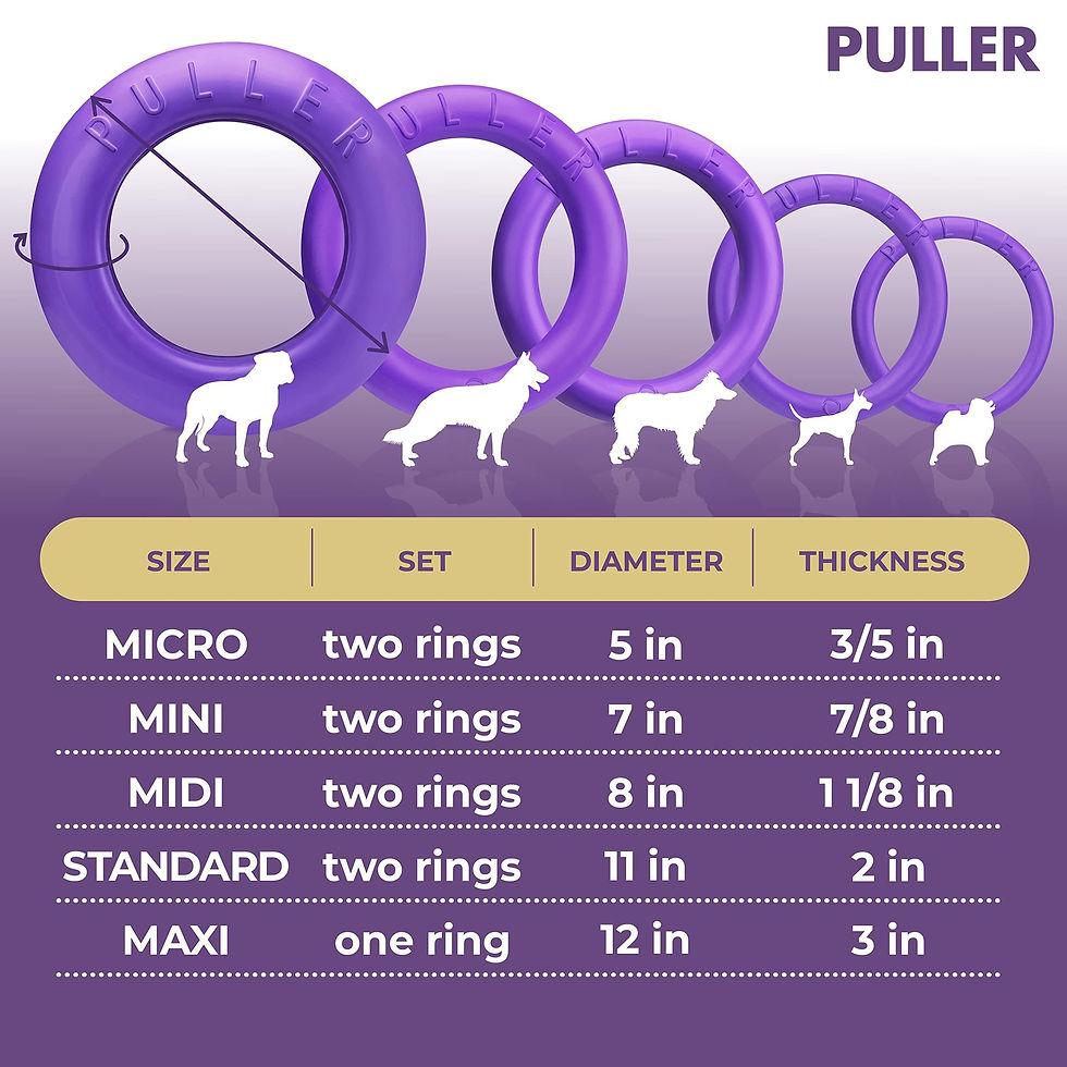 Thumbnail: Puller Outdoor Dog Ring Toys Dog Fetch for Large Dogs Standard Size 2 Rings
