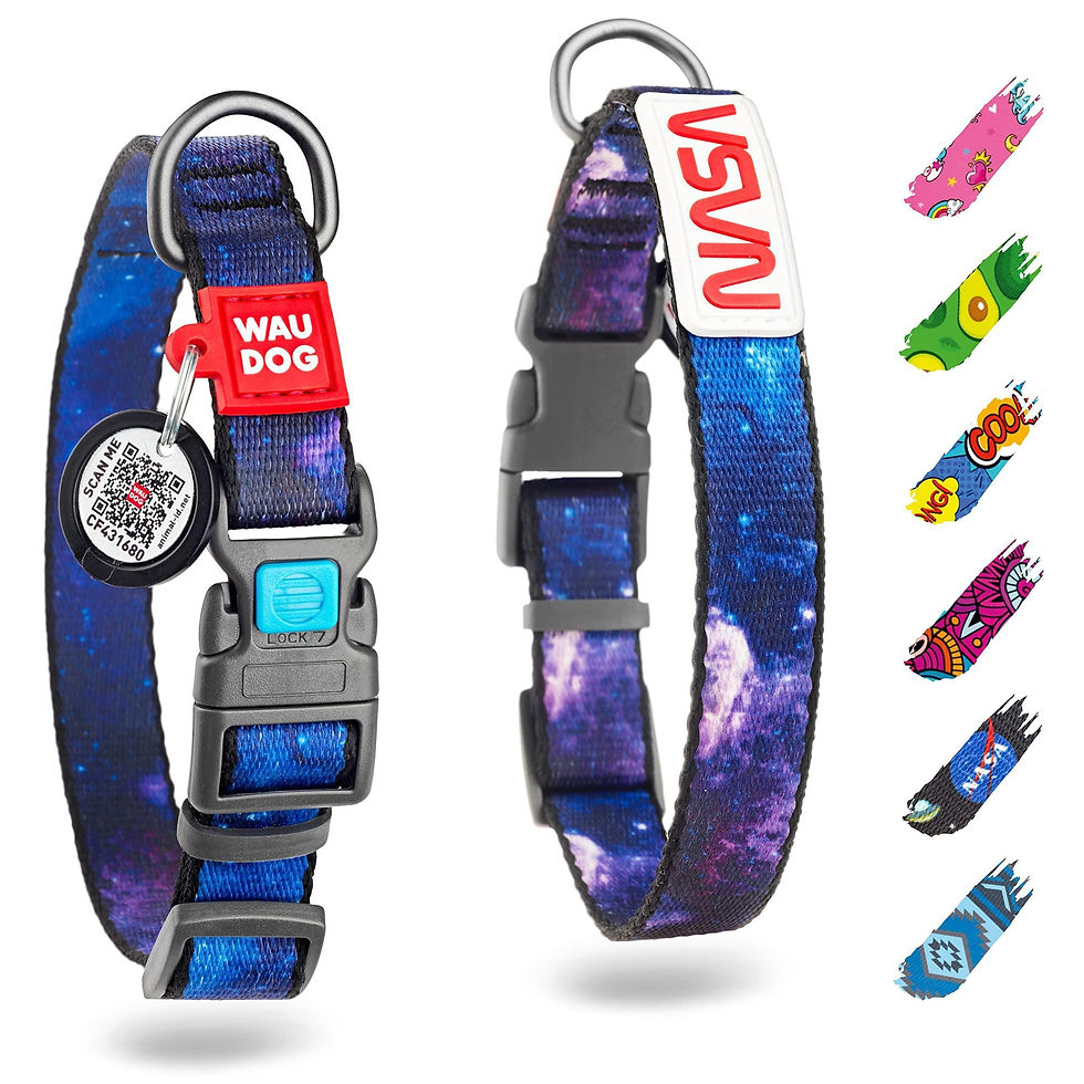 Thumbnail: Nylon Dog Collar Adjustable for Small Medium Dogs 916 in Neck x 4/5 in NASA