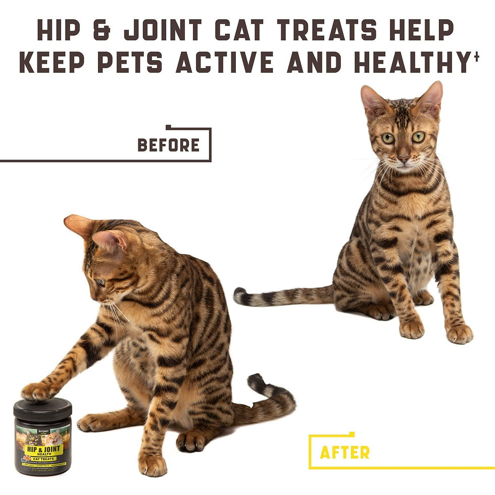 Thumbnail: Natural Glucosamine for Cats   Effective Cat Joint Supplement That Helps Improve