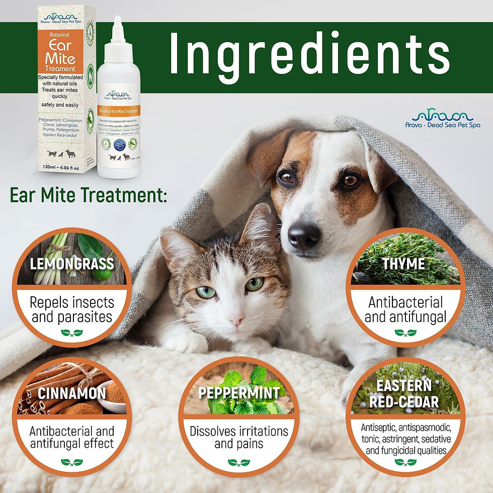Thumbnail: Natural Ear Mite Treatment for Dogs & Cats Pet Ear Mites Infection Cleaner