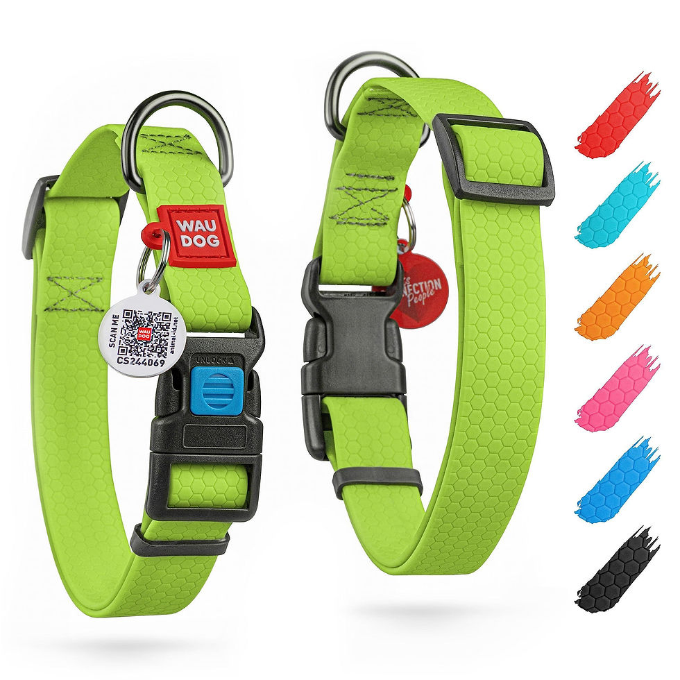 Thumbnail: Green Waterproof Dog Collar Adjustable for Medium Dogs 1016 in Neck x 4/5 in