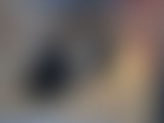 The new website for Canterbury Tails!