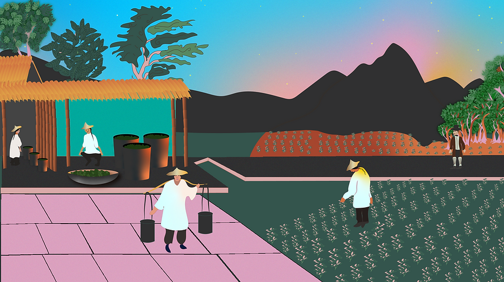01 - Tea Plantation.png