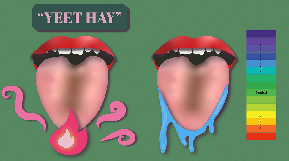 18 - Yeet hay-01-01.png