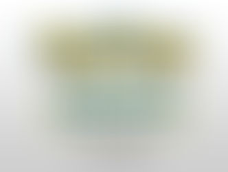 Pokémon Presents stream coming on August 3 with updates