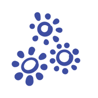 WebDesign-09.png