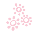 WebDesign-04.png