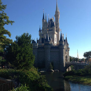Top Tips for Disney from the Pro- A Quick Survival Guide