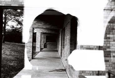 Milo bitters film photography