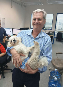 BOAS Certificate Pet Travel Veterinarian