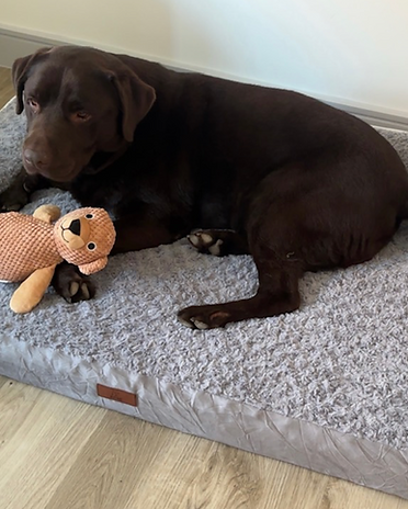 Screen Shot 2025-07-03 at 1.26.09 pm.png