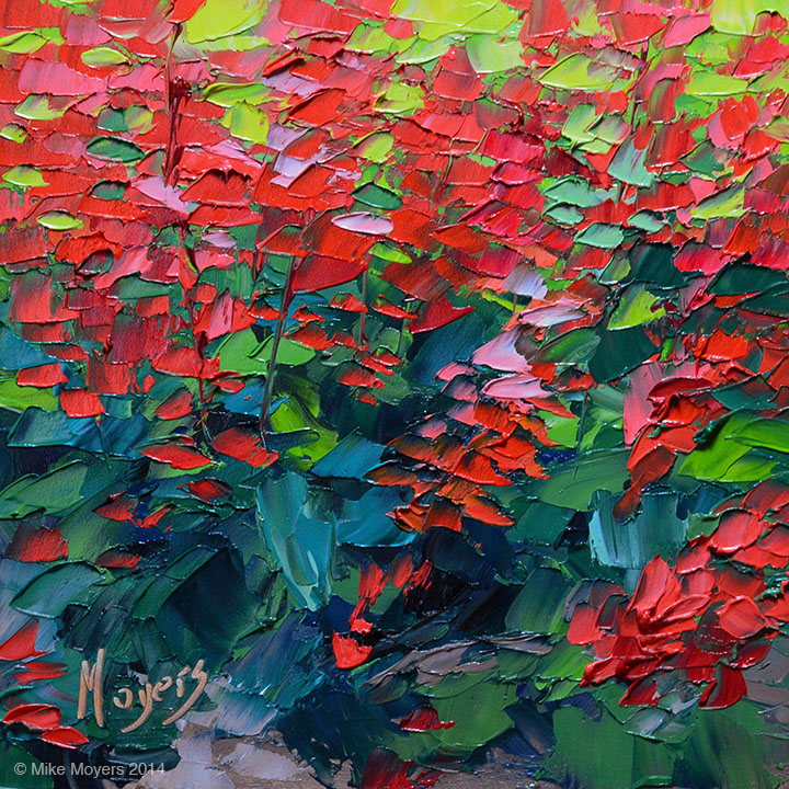 Red Hot Salvia