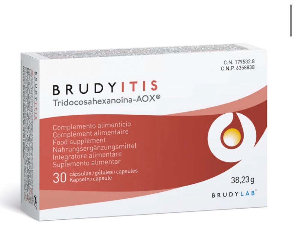 Brudy ITIS